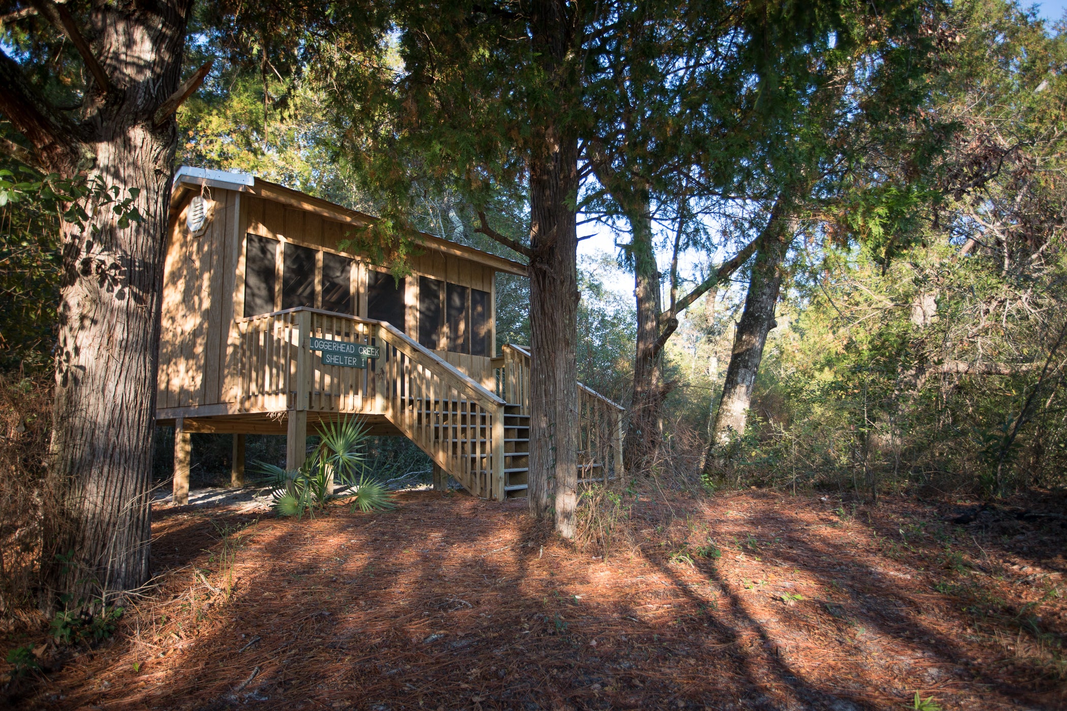 Loggerhead Creek Shelters