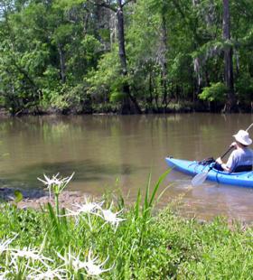 Canoe