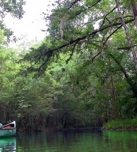 Canoe