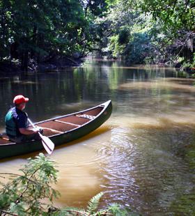 Canoe