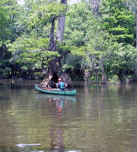 Canoe