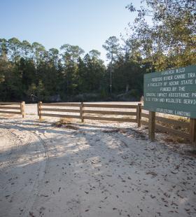 Staple Fork Landing